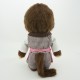 Monchhichi 咖啡店店員男孩